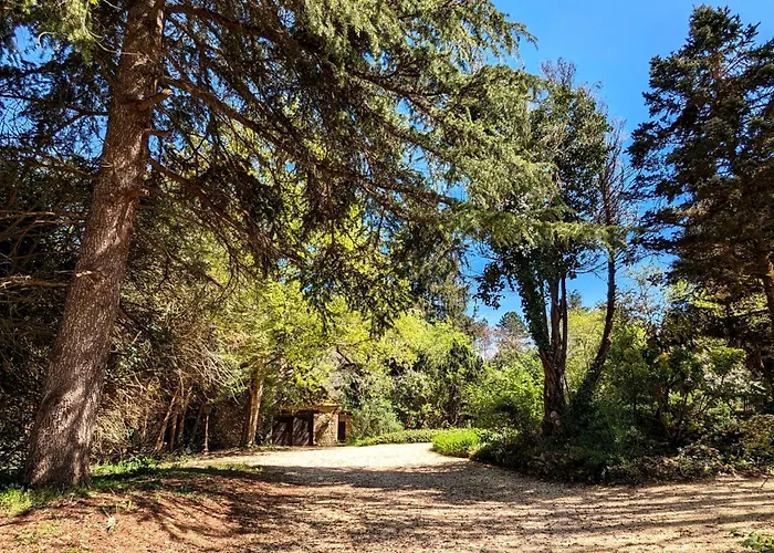 Сasa de vacaciones In Perigord Noir Dordogne In Der Naehe Von Limeuil By Interhome
